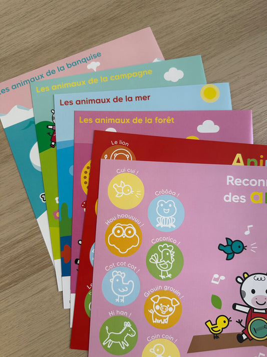 Coffret stickers et cartes - Les Animaux