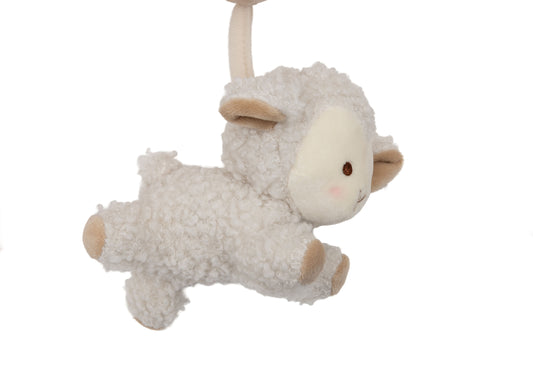Spirale d’Activité - Woolly